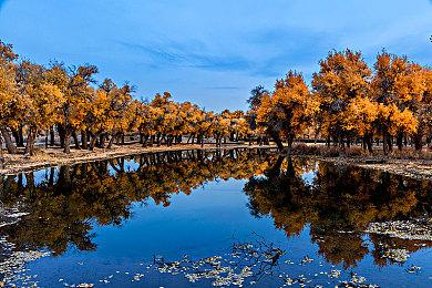 《幻兽帕鲁》帕鲁Univolt介绍影片 明年1月发售